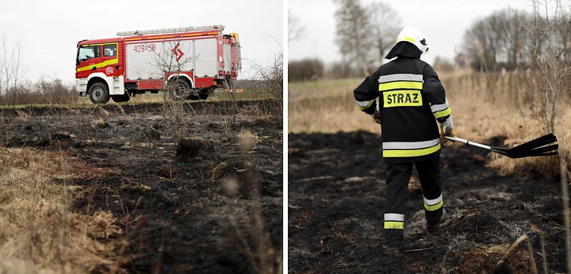 [FOTO] Ogień tuż przy drodze. Strażacy: to było podpalenie