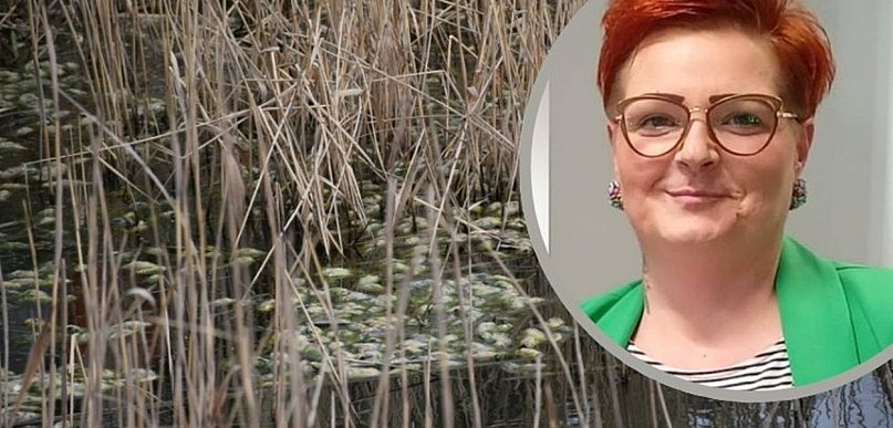 Setki martwych ryb w stawie. Mieszkańcy w szoku – co się stało w Kluczach?