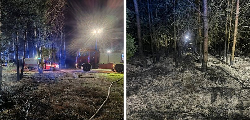 Pożar lasu za Radwanicami. Ugasili go strażacy ochotnicy