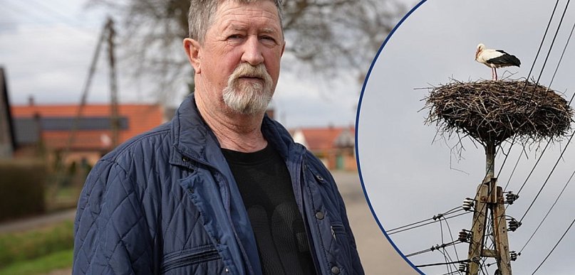 [WIDEO] Bociany wybierają Chociemyśl. Już się rodzi więcej dzieci!