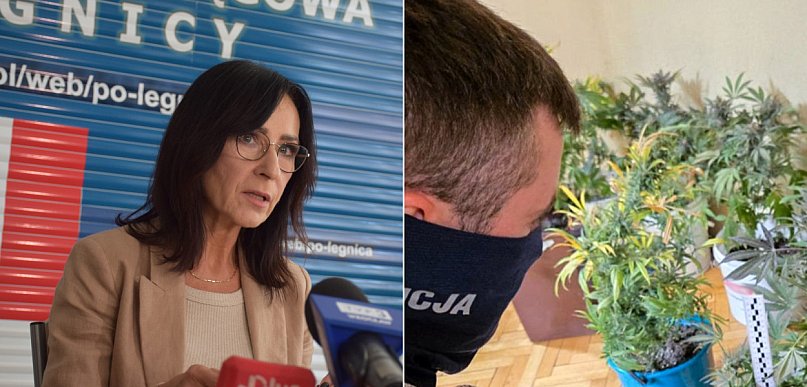 Marihuana w sypialni i na działce. Głogowska para stanie przed sądem