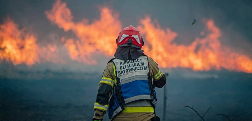 Tu musi grasować podpalacz. Ciągle płoną trzcinowiska w Przemkowie [FOTO]