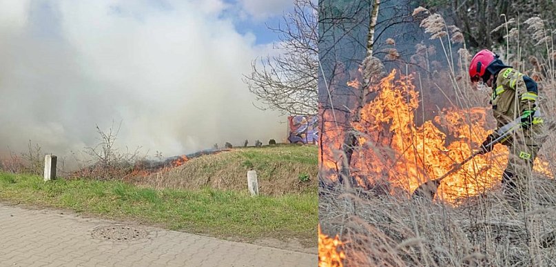 Paliło się przy torach w Głogowie. Musieli wstrzymać pociągi