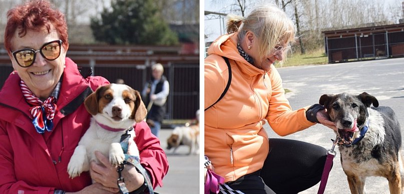 [FOTO] Wzruszająca akcja w schronisku dla zwierząt pod Głogowem