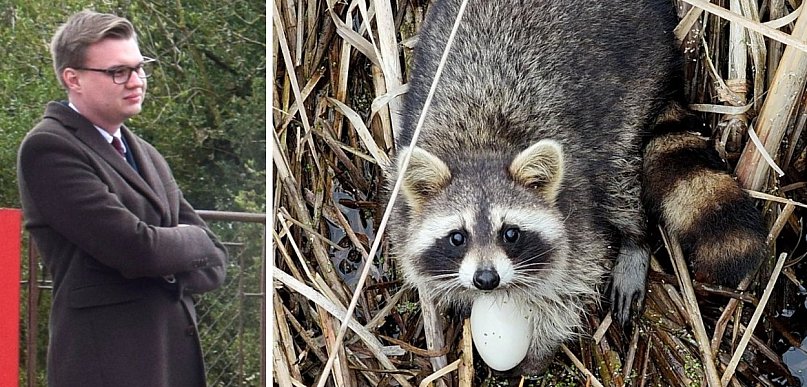 Inwazyjne drapieżniki niszczą życie na Stawach Przemkowskich