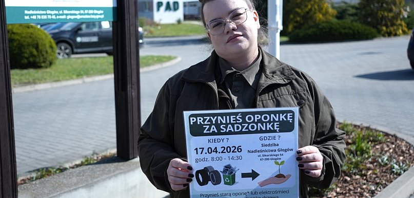 [WIDEO] Opony za sadzonki wracają do Głogowa. Leśnicy zapraszają