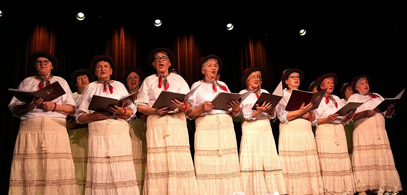 [FOTO, WIDEO] Grębocice: 20 lat śpiewu i pasji. Jubileusz chóru