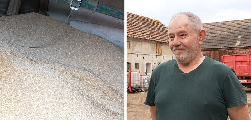 [WIDEO] Dramat na wsiach! Rolnicy: Zboże zalega, magazyny pełne