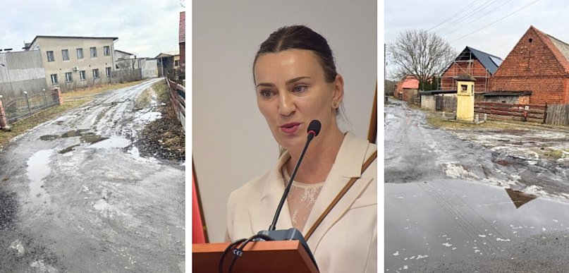 Mieszkańcy Starych Serbów przyszli do radnych z problemem drogi