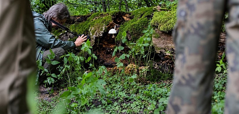 Noc z wilkami pod Głogowem. Takie emocje na specjalne życzenie