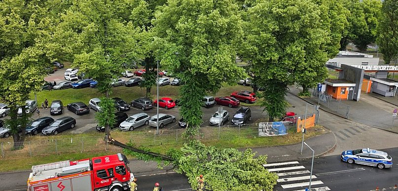 Burza nad Głogowem. Drzewo runęło na jezdnię przy stadionie