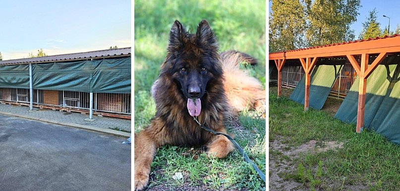 Schronisko w Głogowie szykuje się na ekstremalne upały