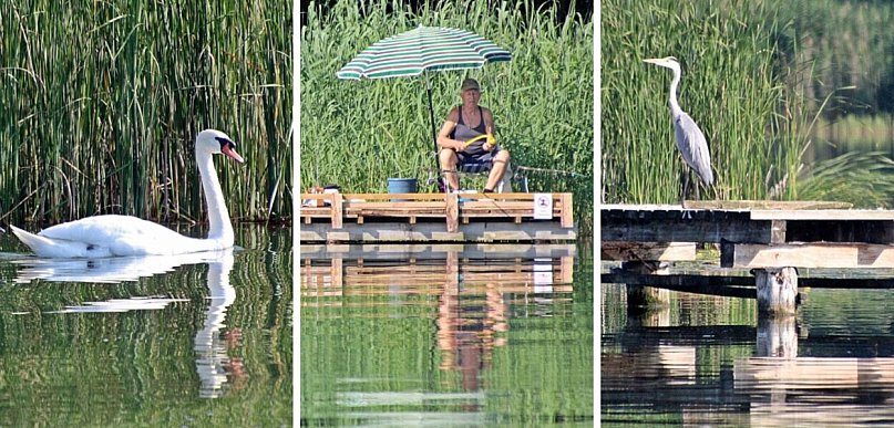 Mnóstwo wody i piękna przyroda dla ochłody. Wystarczy odpłynąć od plaży