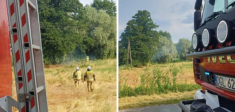 Piorun uderzył w Kromolinie. Strażacy gasili płonące drzewo