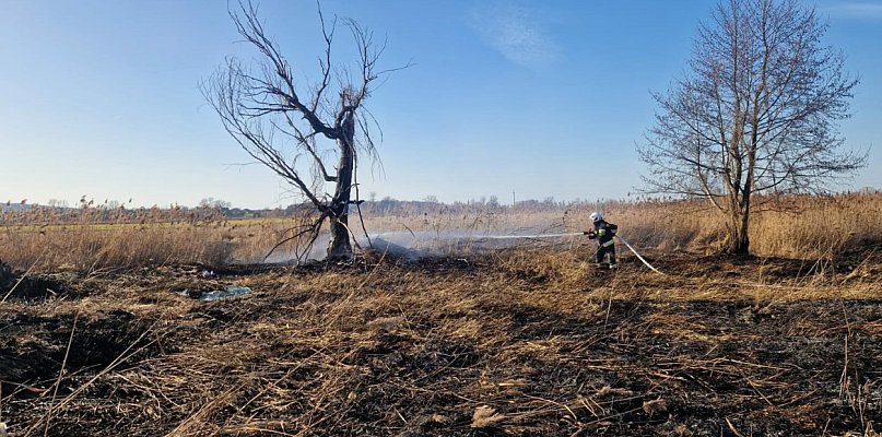 Pożary w Głogowie i Przedmościu. Ruszył sezon na płonące trawy