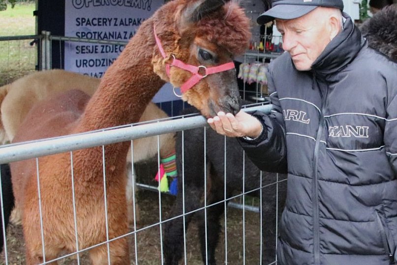 Jesień pod pałacem