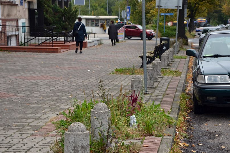 W mieście jest co sprzątać