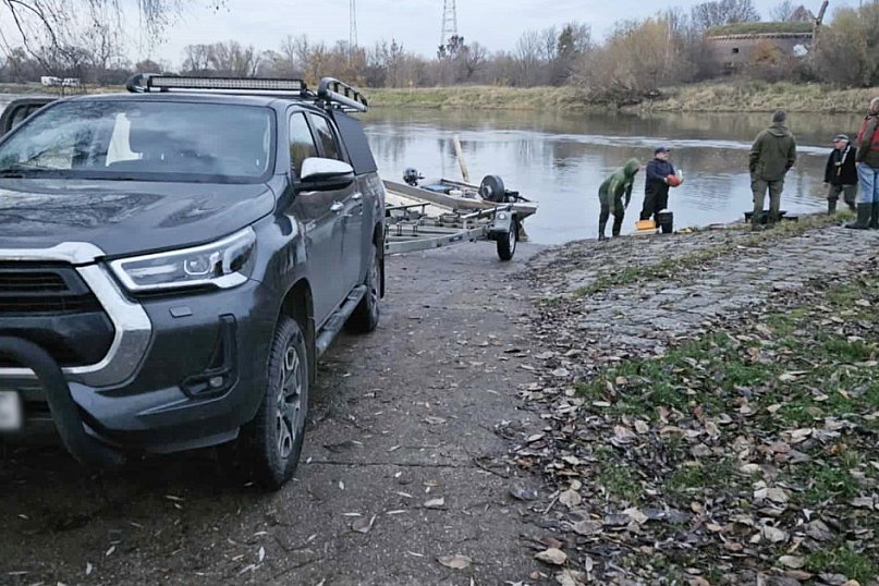 Badają ryby w Odrze