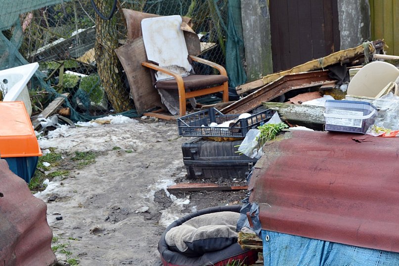 Zwierzęta żyły w strasznych warunkach