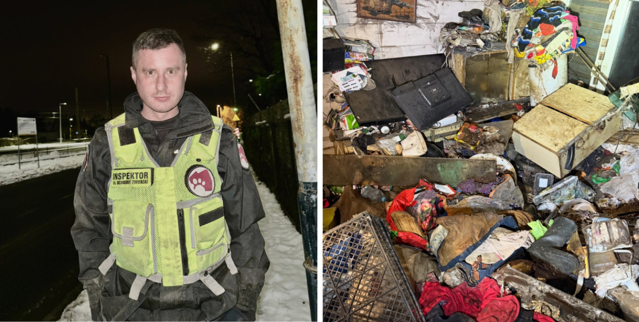 Dolnośląski Inspektorat Ochrony Zwierząt