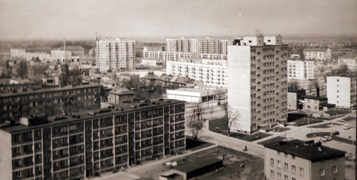 O ulicy Stanisława Moniuszki w Głogowie. Osiedle wyrosło tu... znienacka