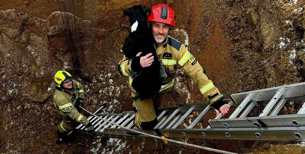 Zwierzak w wielkim wykopie. Akcja z psem w Gaworzycach