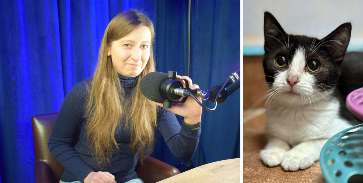 Darmowe czipowanie w Głogowie, bo niedługo Dzień Kota. Jagoda zaprasza