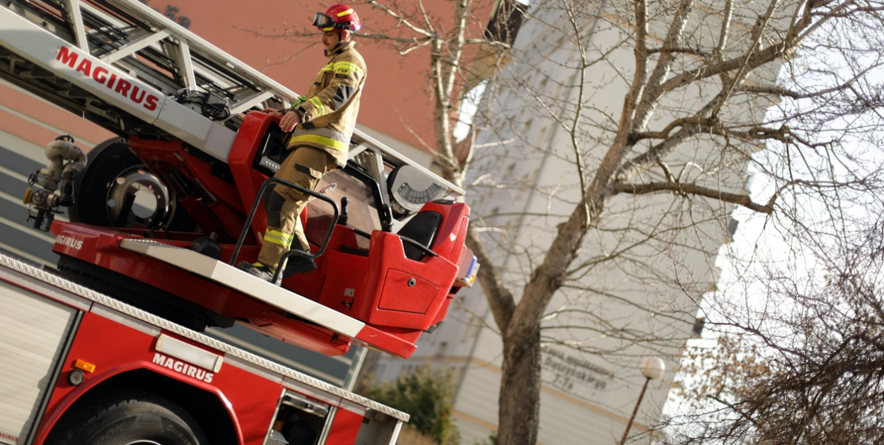 Kot uwięziony na drzewie. Na ratunek ruszyli strażacy