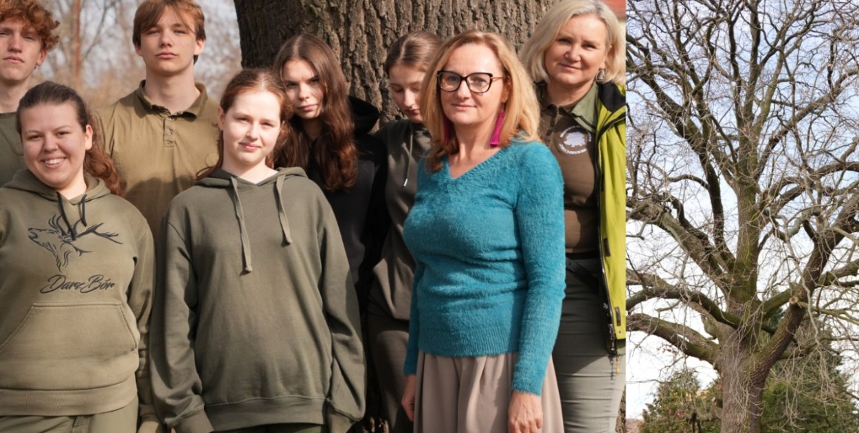 [WIDEO] Symbol szkoły i miasta. Dąb z Głogowa powalczy o Drzewo Roku