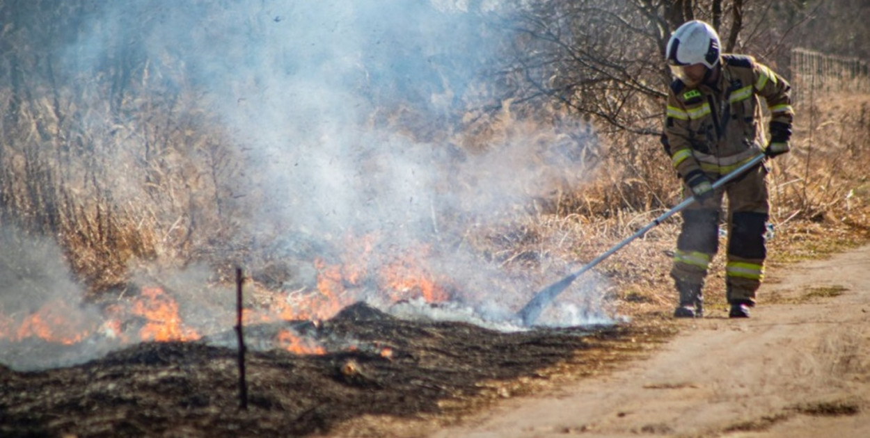 Pożar w Grodźcu Małym. Strażacy walczą z plagą pod Głogowem