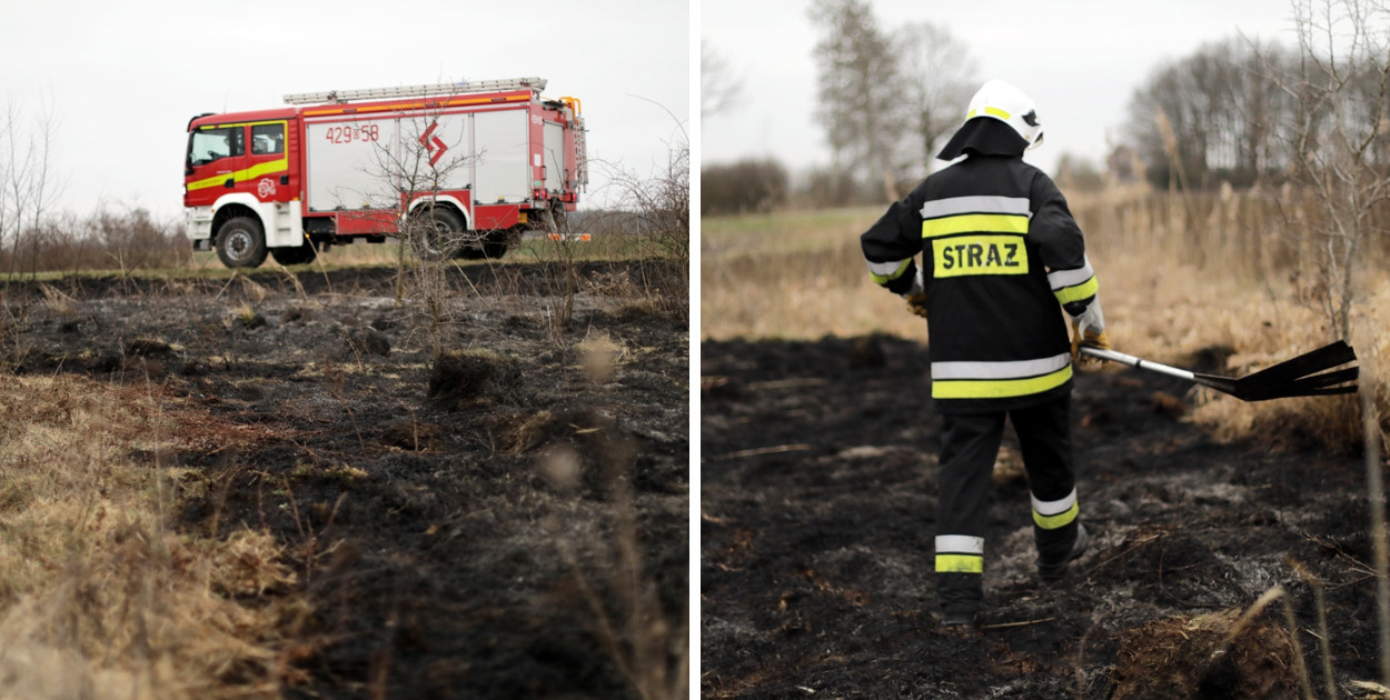 [FOTO] Ogień tuż przy drodze. Strażacy: to było podpalenie
