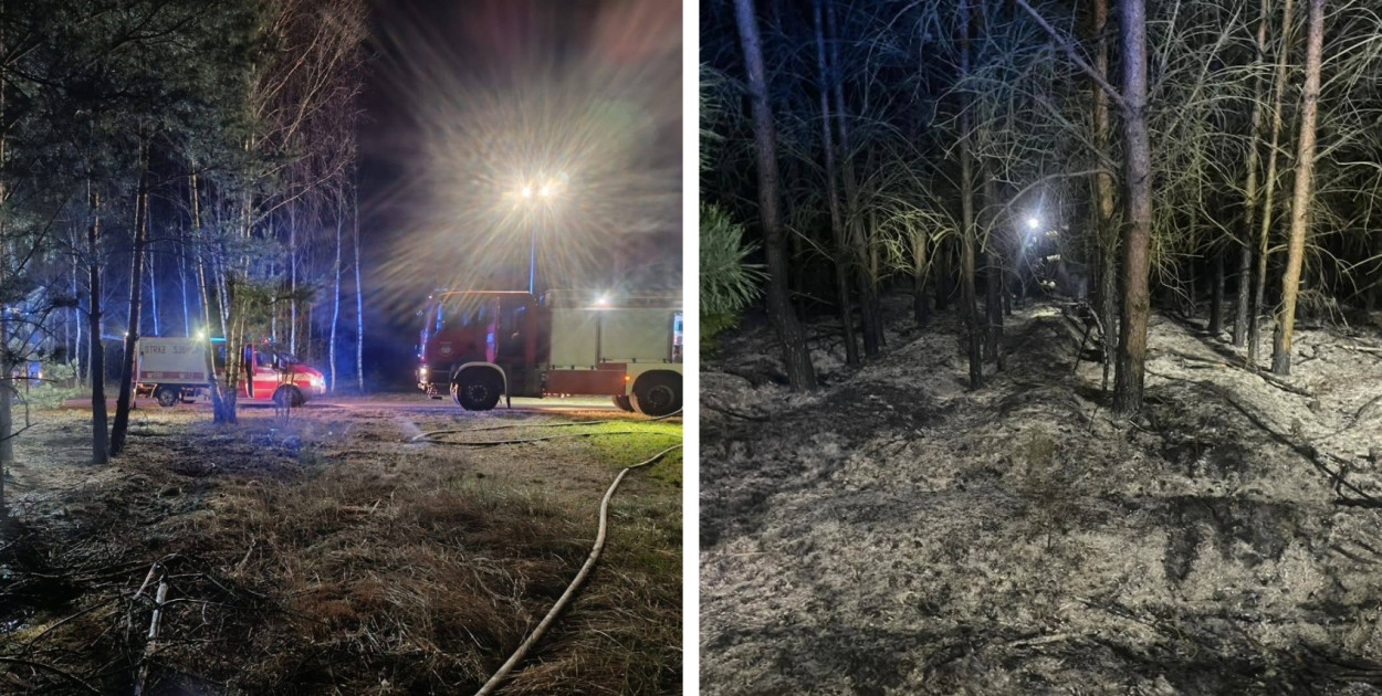 Pożar lasu za Radwanicami. Ugasili go strażacy ochotnicy