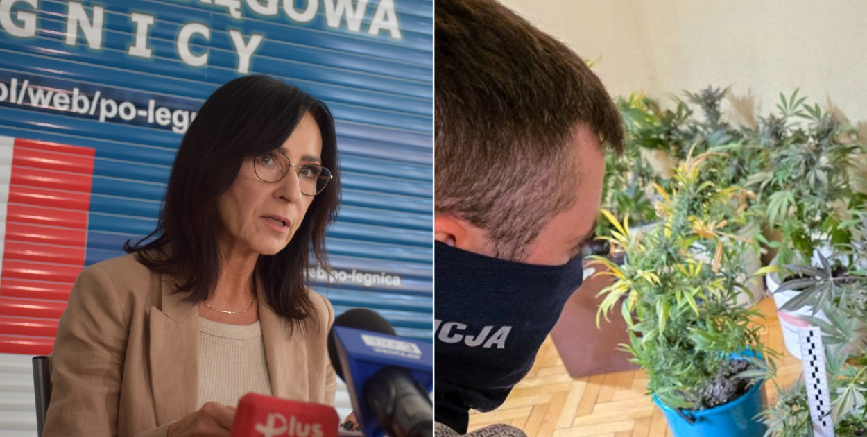 Marihuana w sypialni i na działce. Głogowska para stanie przed sądem