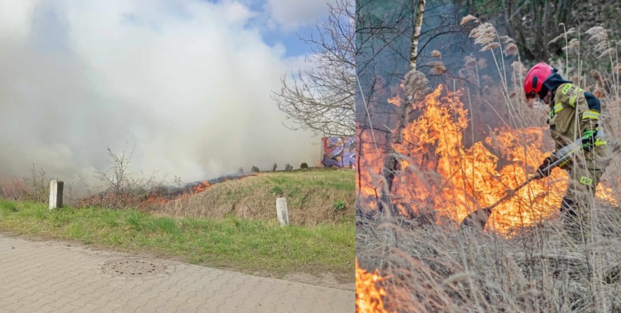 Paliło się przy torach w Głogowie. Musieli wstrzymać pociągi