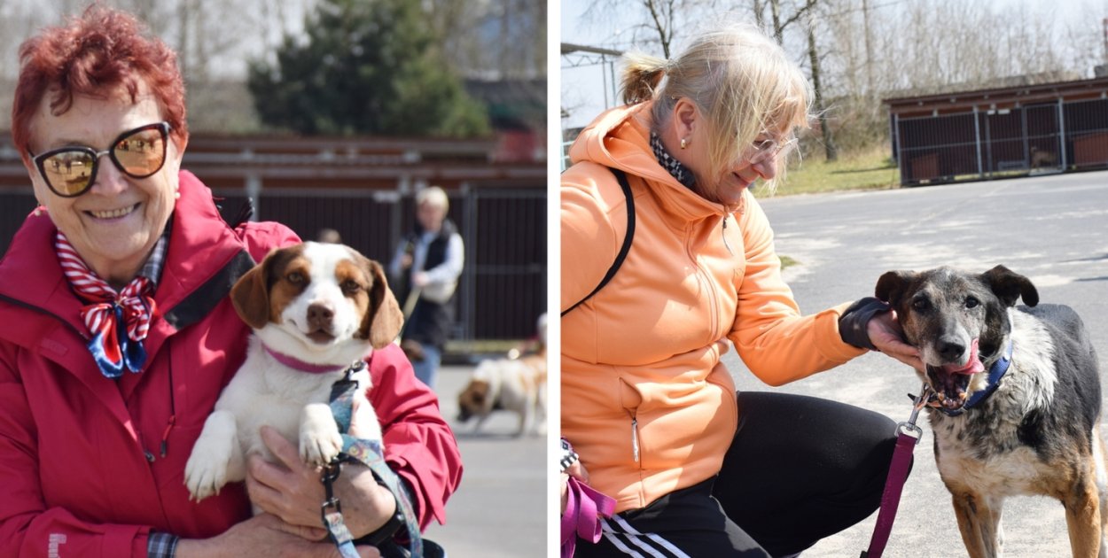 [FOTO] Wzruszająca akcja w schronisku dla zwierząt pod Głogowem