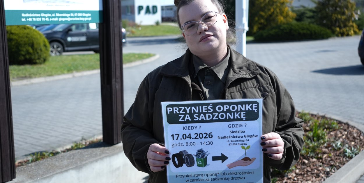 [WIDEO] Opony za sadzonki wracają do Głogowa. Leśnicy zapraszają